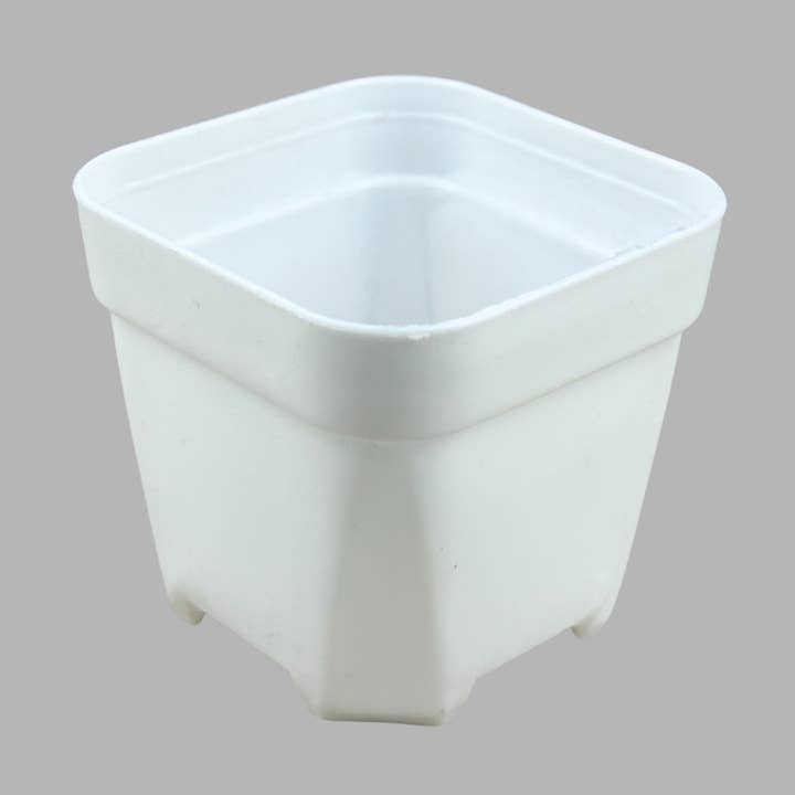 2" White Plastic Nursery Pot – Wholesale for wholesale by Flow State