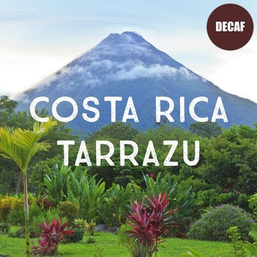 Volcanica Wholesale Coffee - Wholesale Coffee Beans - Decaf Costa Rica Tarrazu Coffee