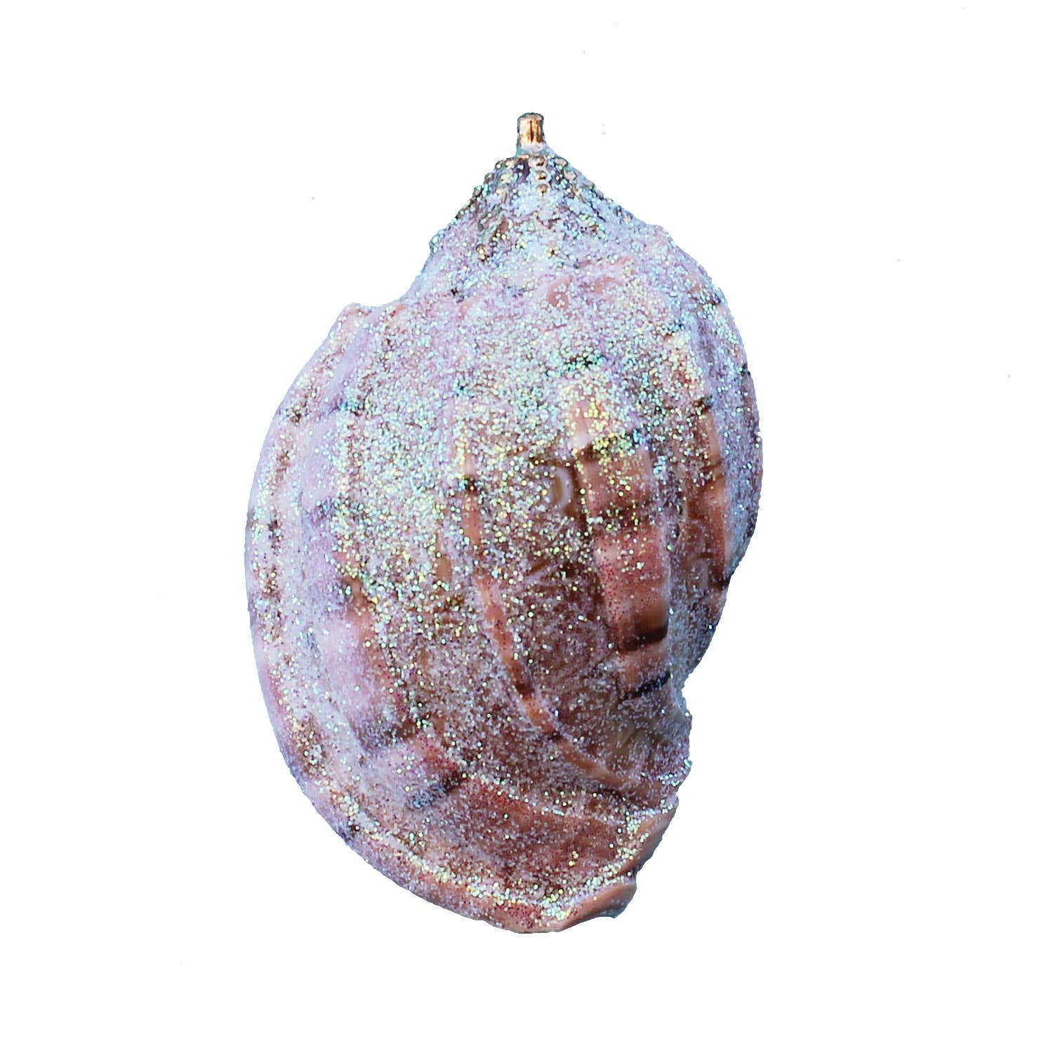 California Seashell Company - Wholesale Ornament - Small Harpa Seashell Glitter Ornament