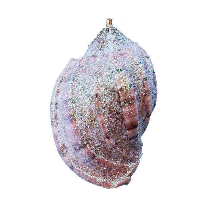 California Seashell Company - Wholesale Ornament - Small Harpa Seashell Glitter Ornament0