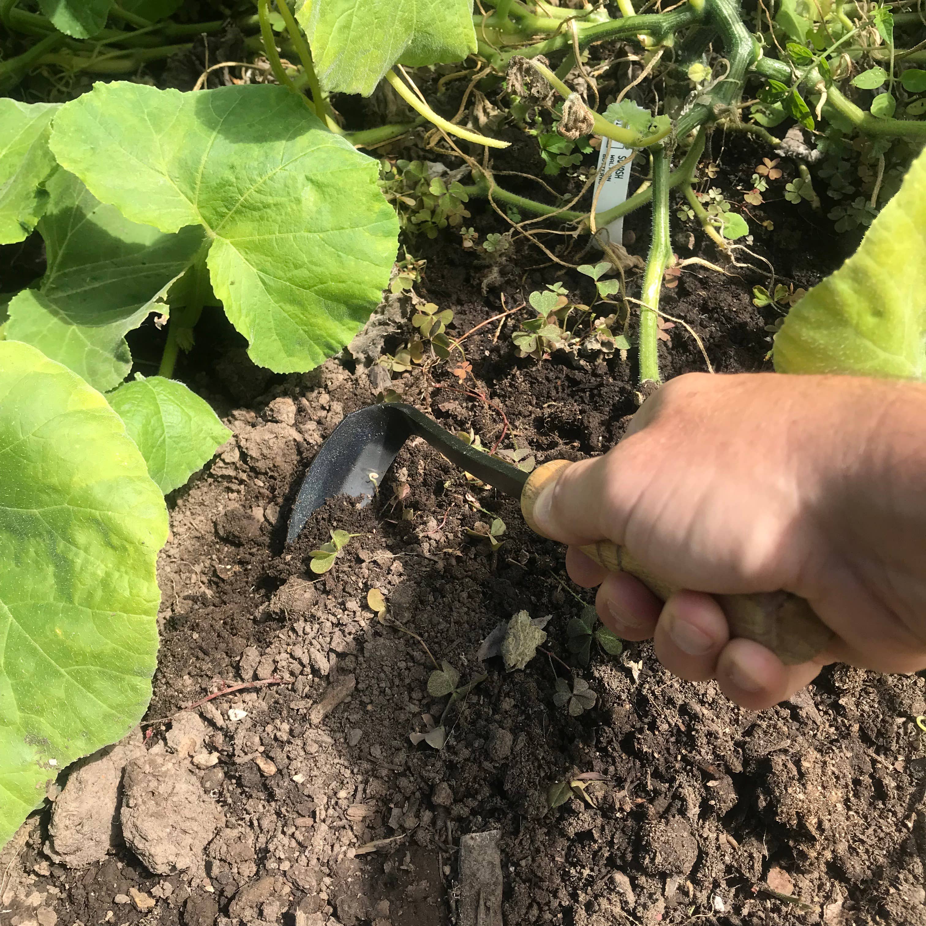 Bridgetown Garden Tools® - Wholesale Garden Tool - Mini Sickle Hoe2