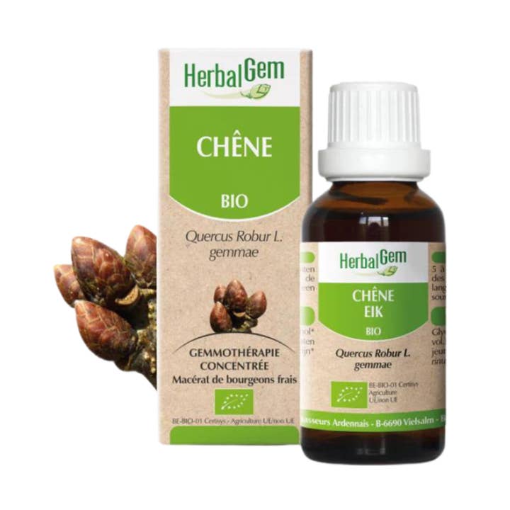 Ecohesens - Wholesale Oral Supplement/Vitamin - Organic oak - 30 ml - HerbalGem0