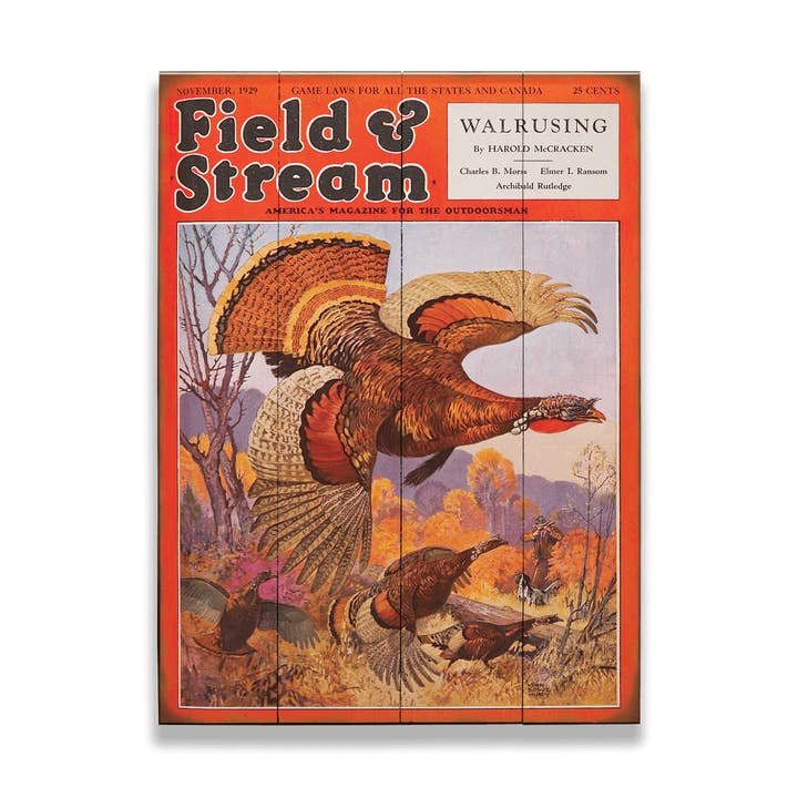 Capa da Field & Stream de novembro de 1929 - Arte de Parede em Madeira e Metal por atacado de Old Wood Signs