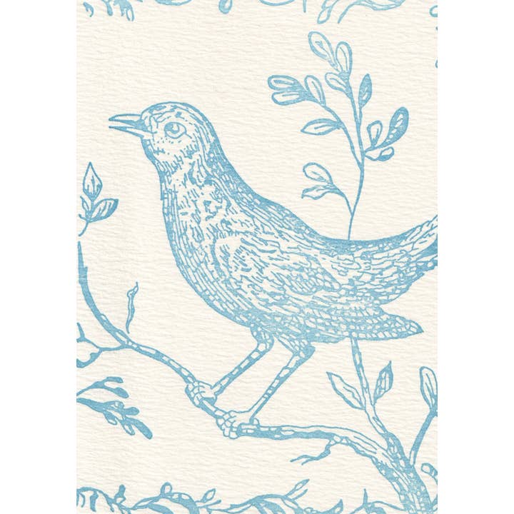 Saturn Press - Vendita all'ingrosso Set di cartoleria/cancelleria - Usignolo