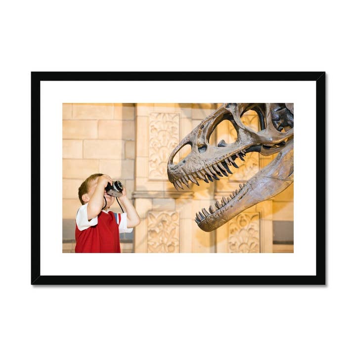 Boy photographing dinosaur Framed & Mounted Print for wholesale by Sorbey