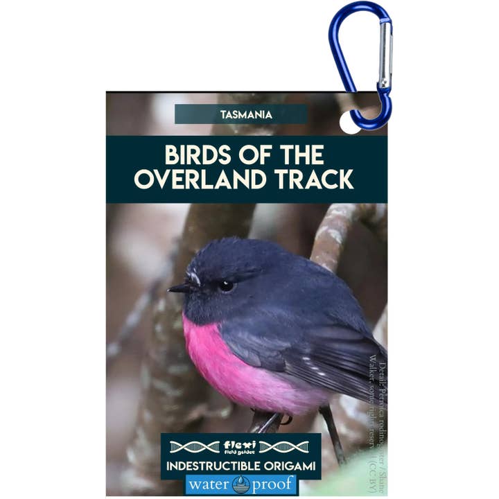 Birds of The Overland Track-Indestructible Origami for wholesale by Flexi Field Guides