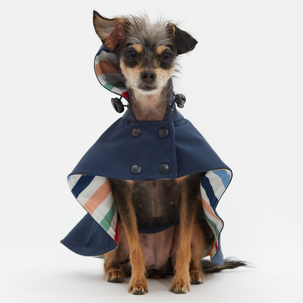 ARISTOPET - Wholesale Hondenregenjas - Hond - William waterdichte hondenjas3