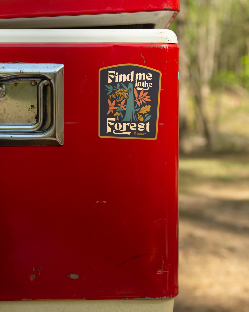 The Landmark Project - Wholesale Sticker - Find Me in the Forest Sticker2