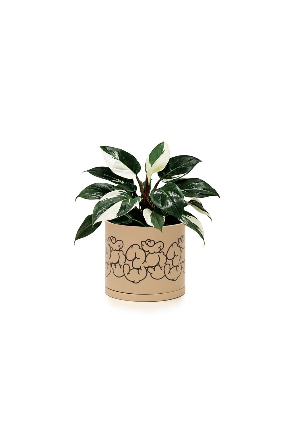 Soul of the Party - Wholesale Plant Pot - Om Aum Planter | Spiritual Gift 🕉0