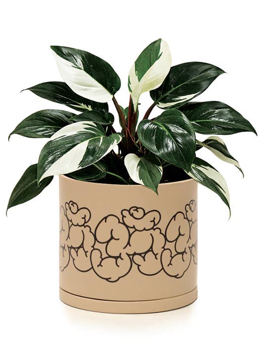 Om Aum Planter | Spiritual Gift 🕉 for wholesale by Soul of the Party