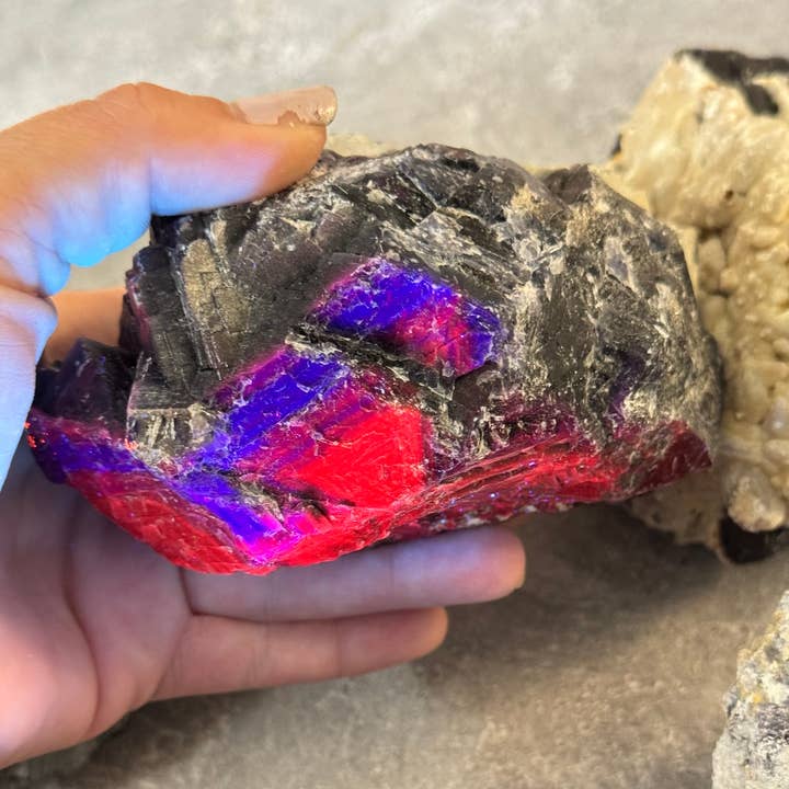 Mandala Gems - Wholesale Spiritual Stone/Crystal - Huge Black Rose Fluorite Specimens, Rare Fluorite, Fluoresce Red or Pink
