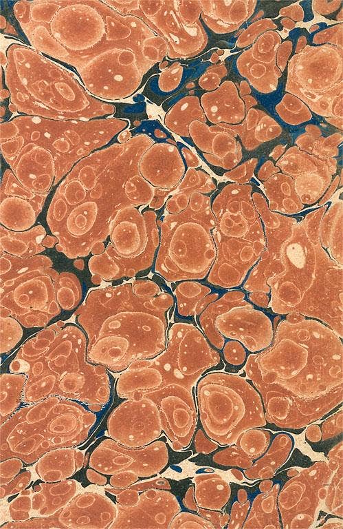 Found Image Press - Wholesale Magnet - Magnet DP-17 Biological Pattern0