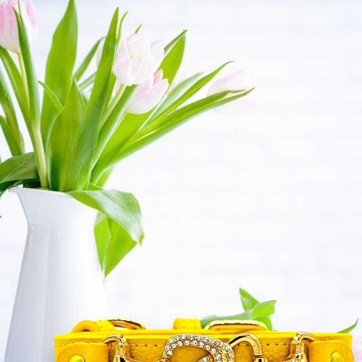 PupWiser - Wholesale Pet Collar - Dog - "D" Diamond Handmade Leather Dog Collar4