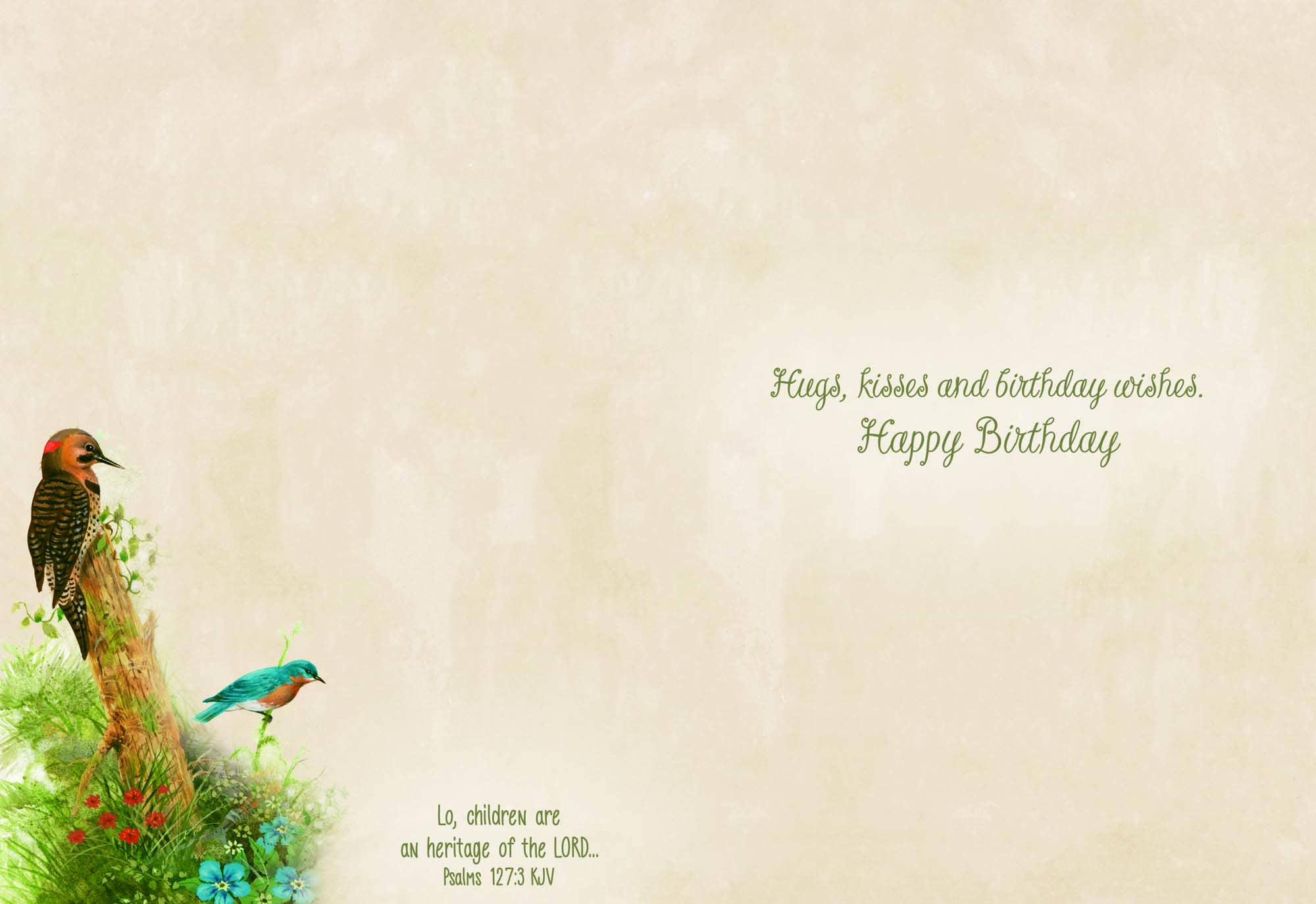 Crown Point Graphics - Vente Cartes d'anniversaire - Cartes d'anniversaire religieuses - Petite faune | 12 cartes3