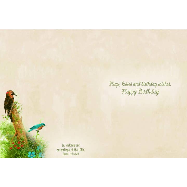 Crown Point Graphics - Vente Cartes d'anniversaire - Cartes d'anniversaire religieuses - Petite faune | 12 cartes3