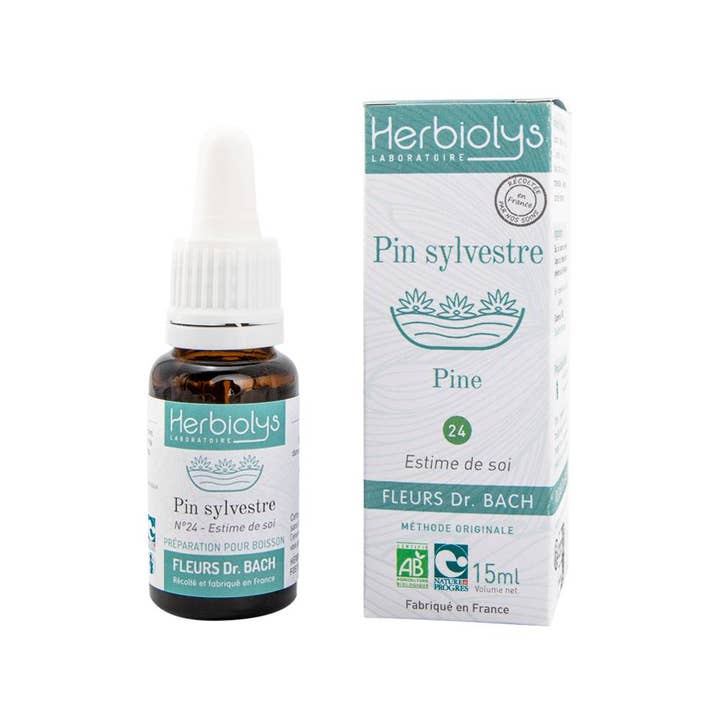 Pine Elixir Floral (No. 24) for wholesale by Herbiolys