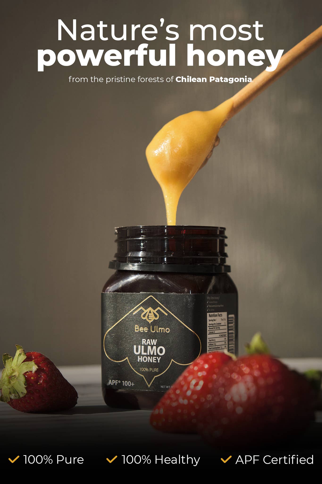 Bee Ulmo - Wholesale Honey - BEE ULMO Honey APF 100+. Support Your Immune System5