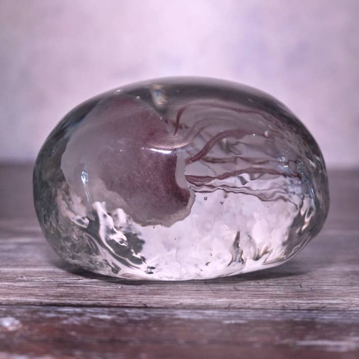 Pink Jellyfish on Side Paperweight for wholesale by Bentley & Bo