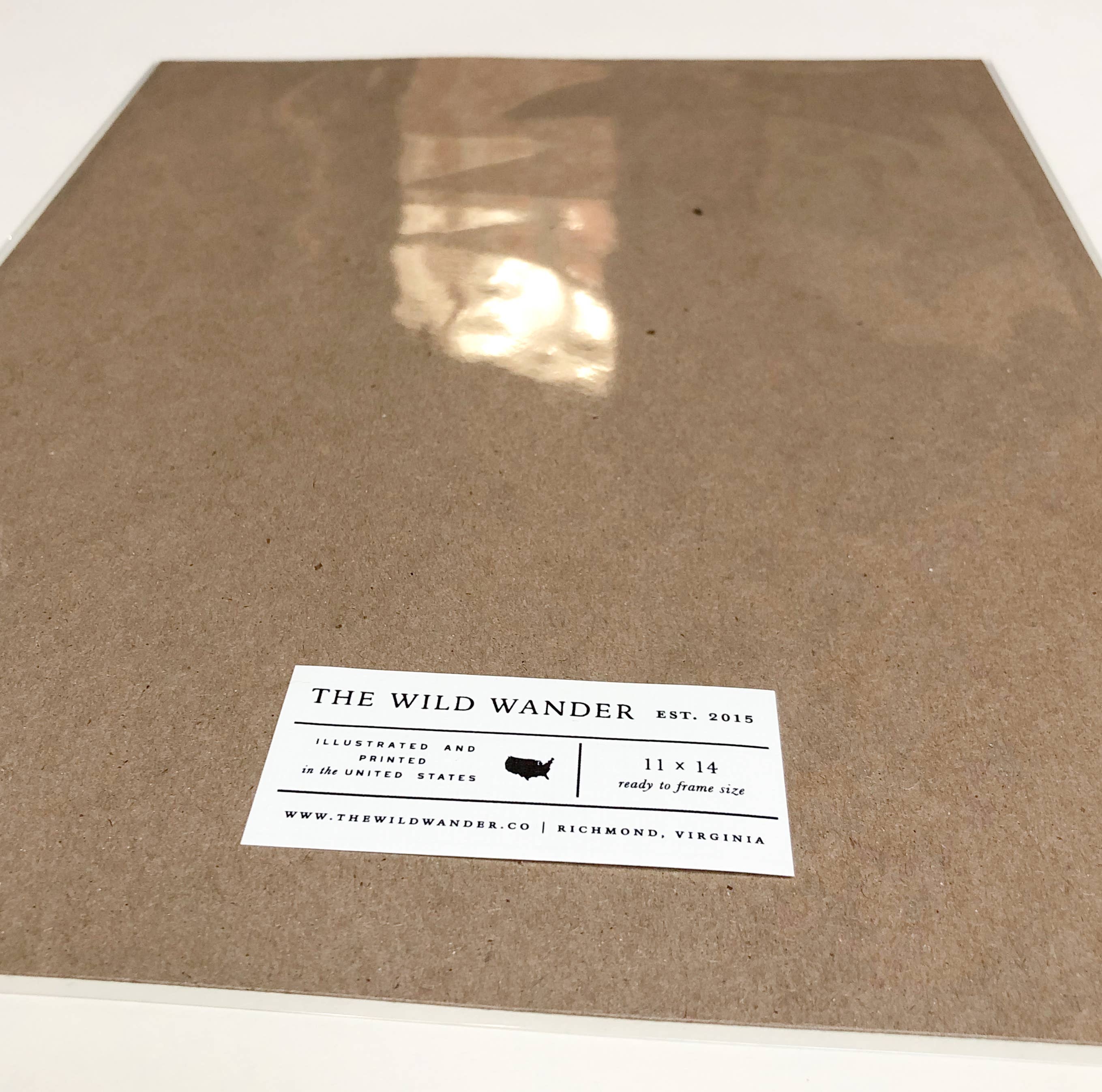 The Wild Wander - Vente Affiche d'art - Guide des mouches à truite1