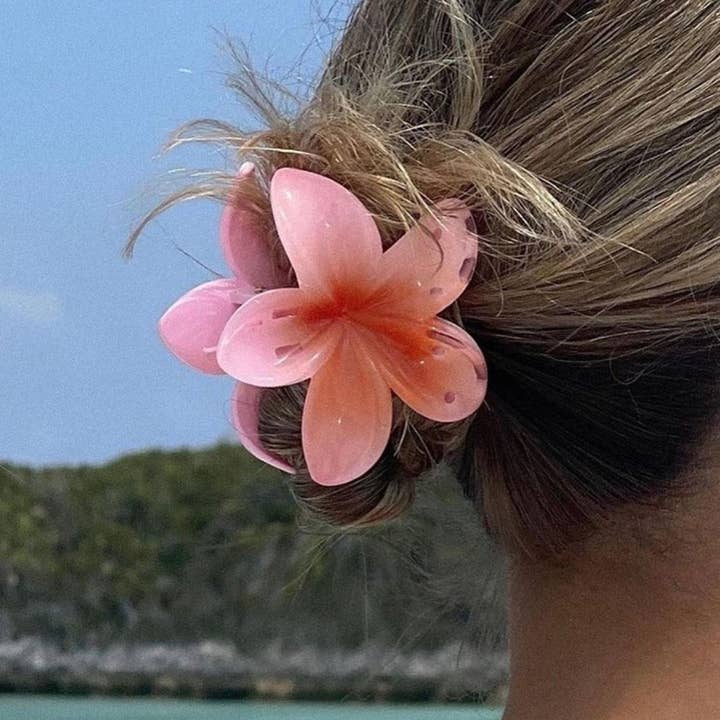 LadyJuneAccessories - Wholesale Hair Clip - Women's - Blossom Hair Clip,Ombré Beach Claw,Hair Accessories,Gifts