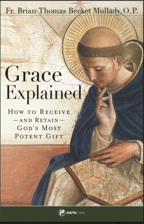 Sophia Institute Press - Wholesale Religion - Grace Explained0