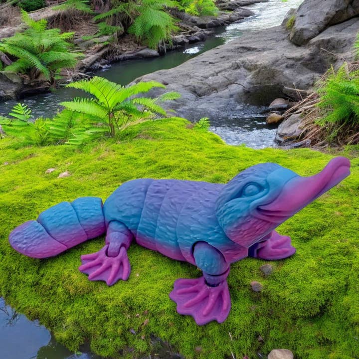 Splashfoot Platypus and other Purchase Wholesale platypus. Free Returns & Net 60 Terms on Faire trending on Faire.