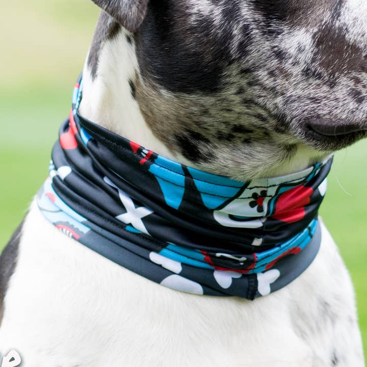 Hundens dag Blue Pup Scruff for engroshandel hos Pup Scruffs