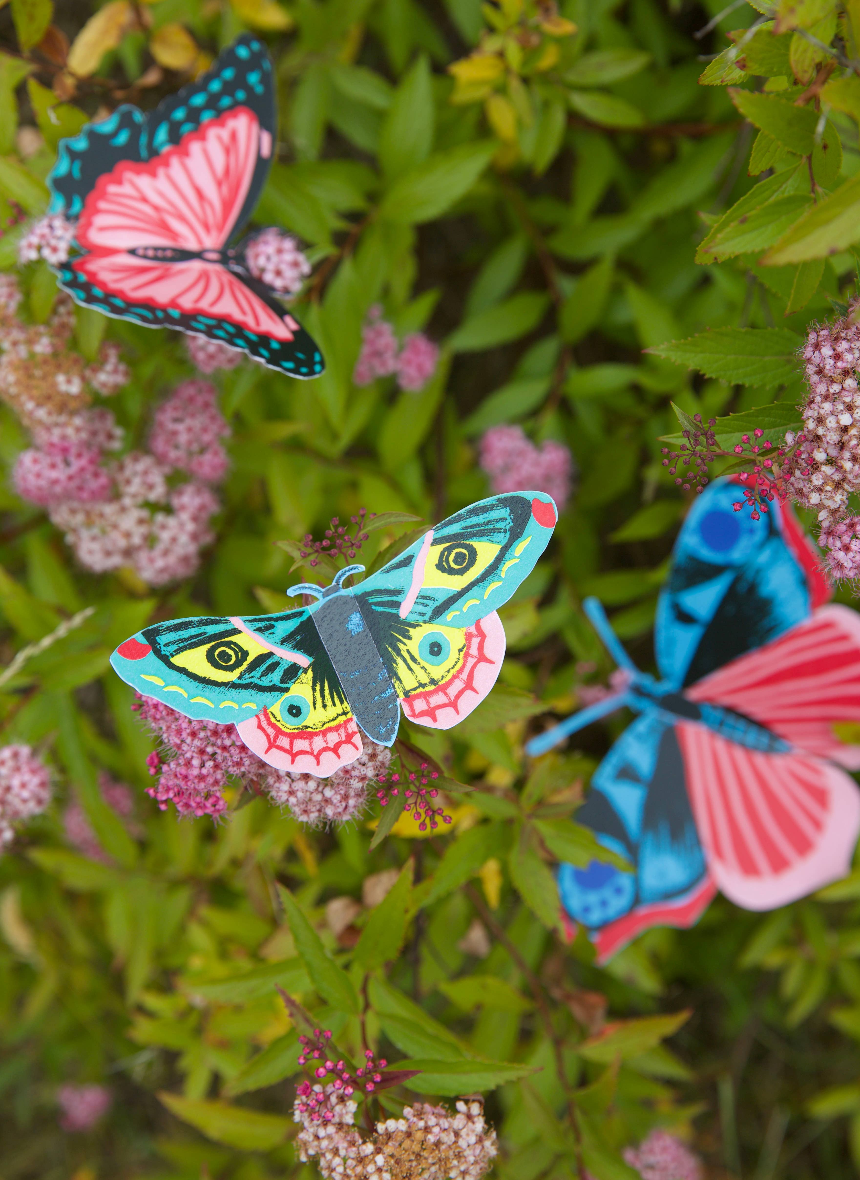 West Design Products – wholesale DIY craft kit – Child – Royal Horticultural Society Make Your Own 3D Bugs Kit3