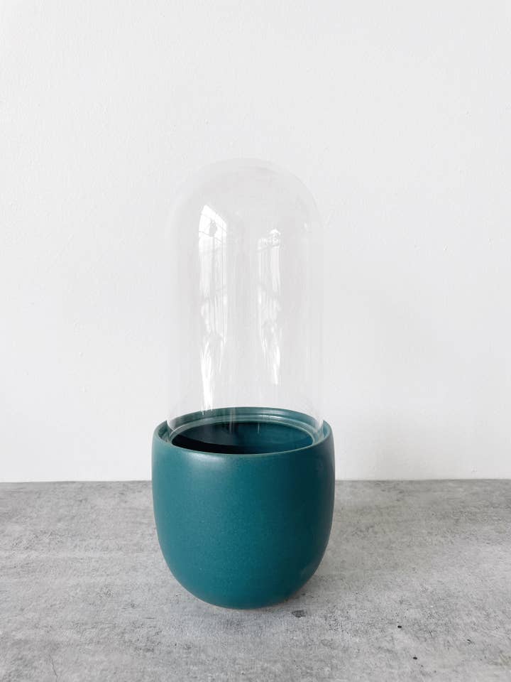 Large Glass Dome Terrarium for wholesale by Little Fire Ceramics