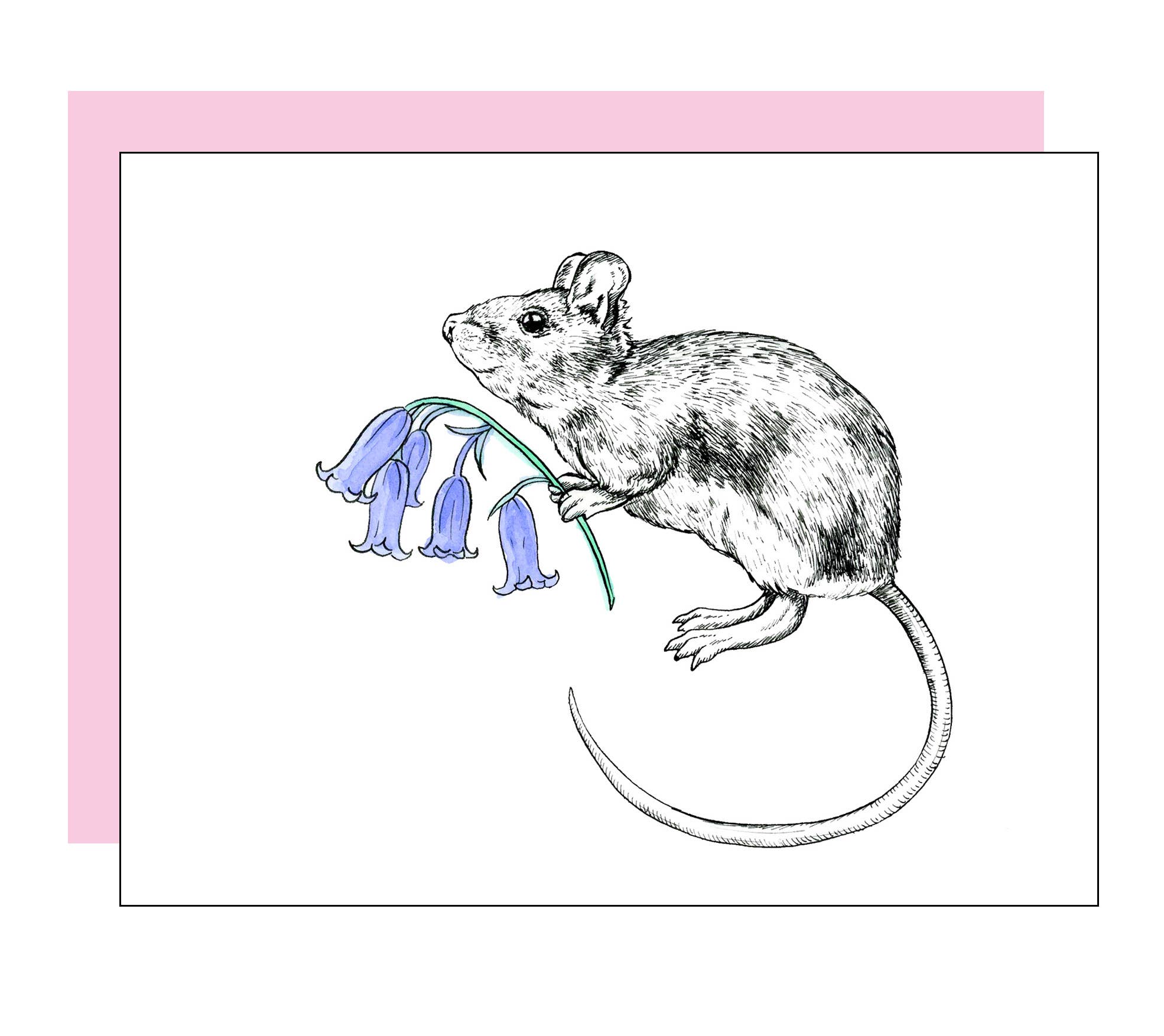 Erin A. Ellis - Wholesale Gewone wenskaart - Muis-kaart0