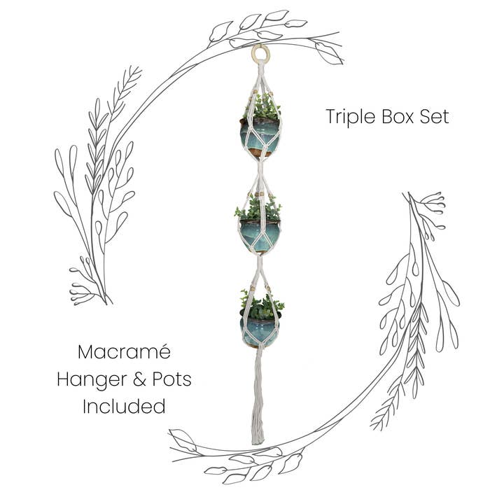 Rustic Pot Variants Triple Box Set - Macramé Plant Hanger & Pots for wholesale on Faire