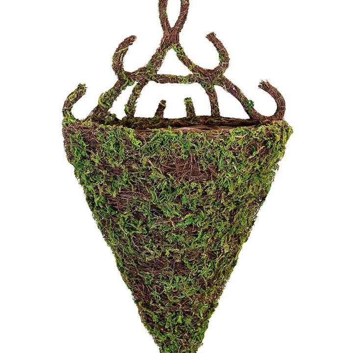 SuperMoss - Wholesale Hanging planter - Wall Sconce, Moss & Wicker, Madrid 13in Diameter