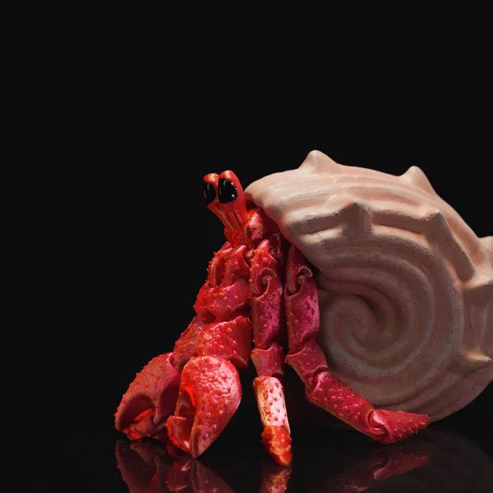 Jouet articulé Hermès le Bernard-l'ermite imprimé en 3D, anti-stress pour la vente par Great American Designs