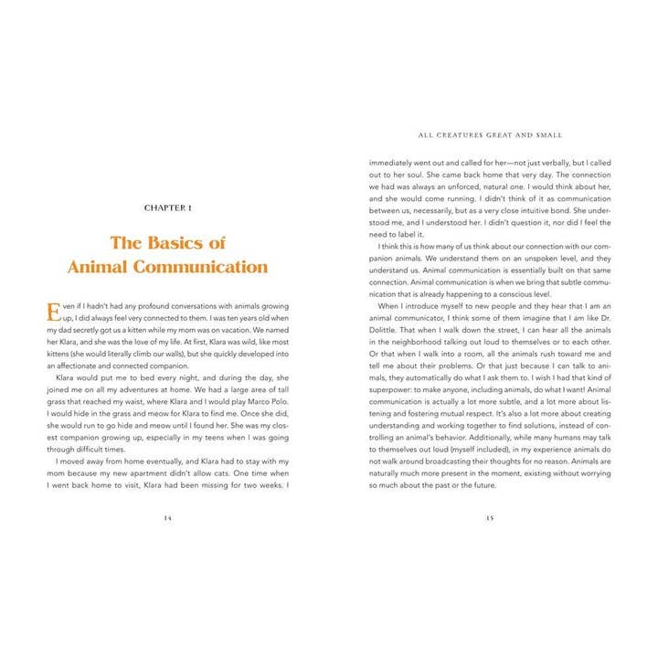 Hachette Book Group - Wholesale Pets - Animal Intuition: Communicating with Pets, Spirits & Energy1