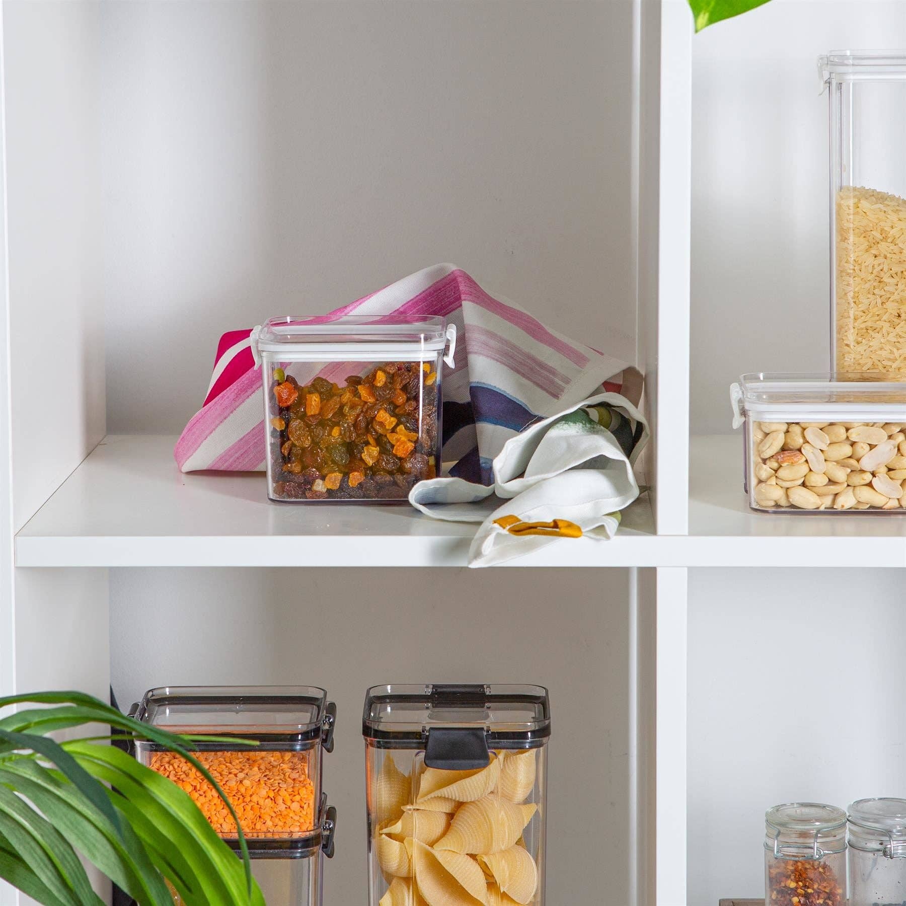 Rinkit Ltd – wholesale Food storage container – Argon Tableware Plastic Food Storage Container - 700ml7