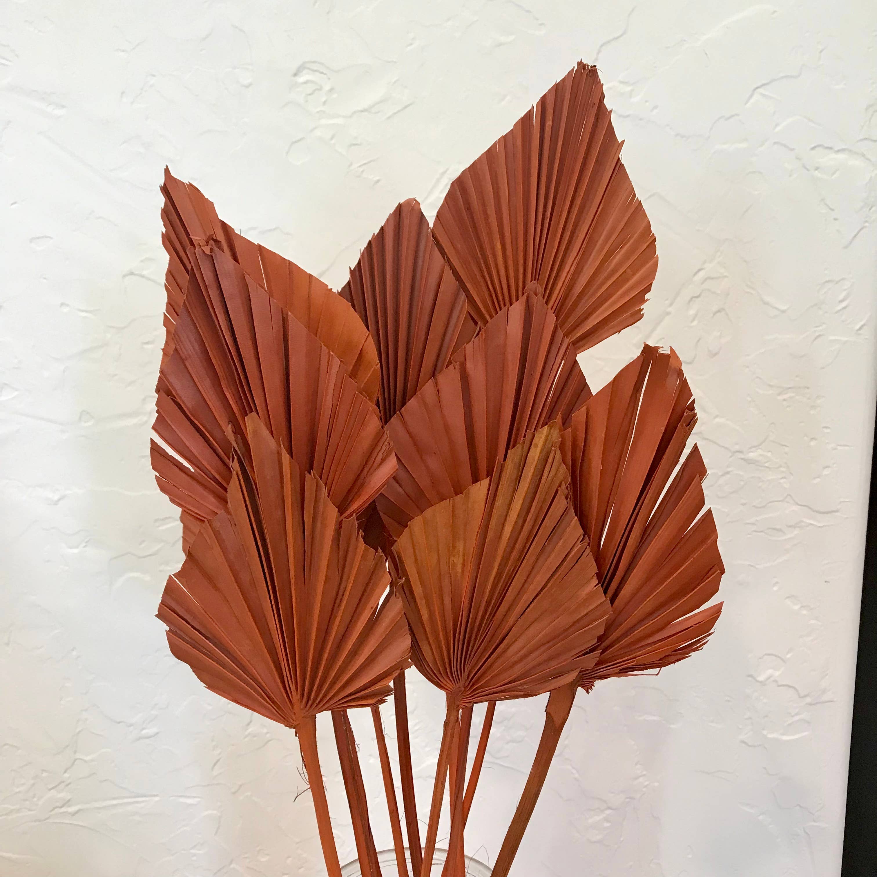 Wilco Home - Wholesale Dried/Pressed Flowers - 10 PC Dried Palm Spear Drop-in Bouquet6
