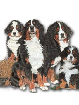 Bernese Mountain Dog Magnet Wooden for wholesale by Pipsqueak Productions