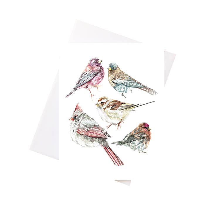 Vogels voor wholesale door NKFA