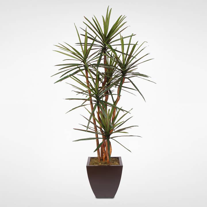 Yucca artificiel de 7' H avec troncs en bois dans une jardinière en métal pour la vente par JENNY SILKS