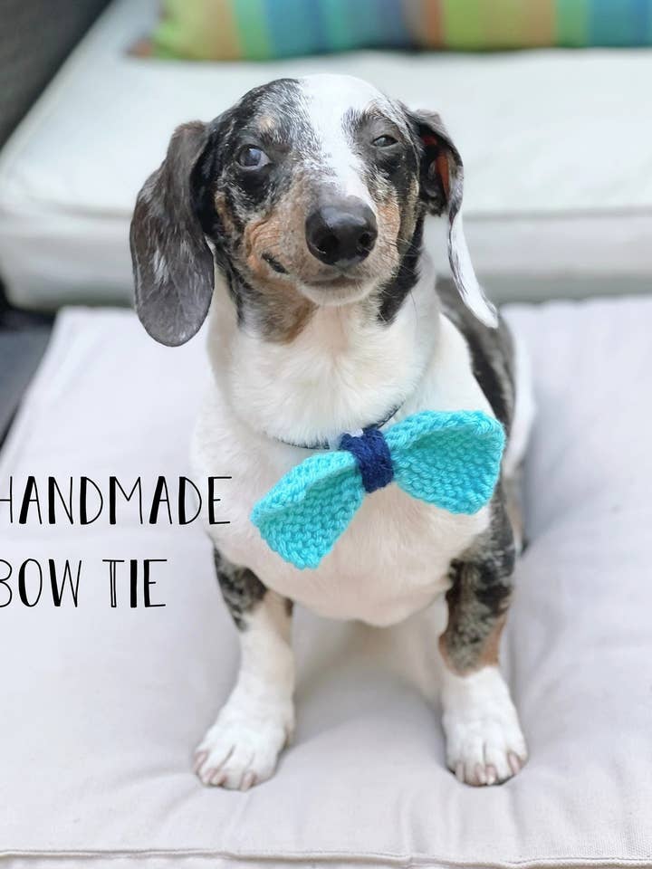 Pet fluga för wholesale av Wooly Weenie Dog