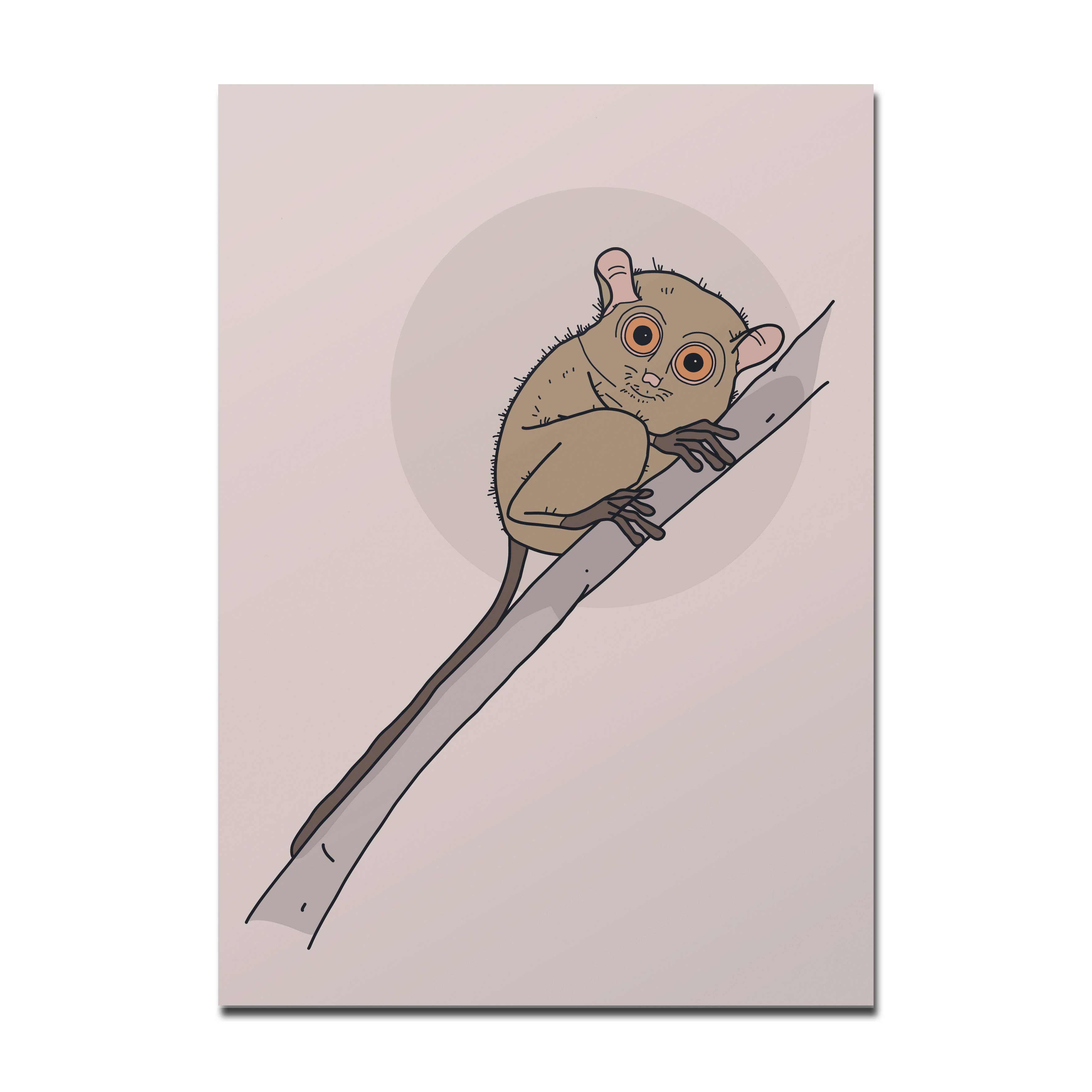 Rotberta - Wholesale Postcard - Koboldmaki postcard0