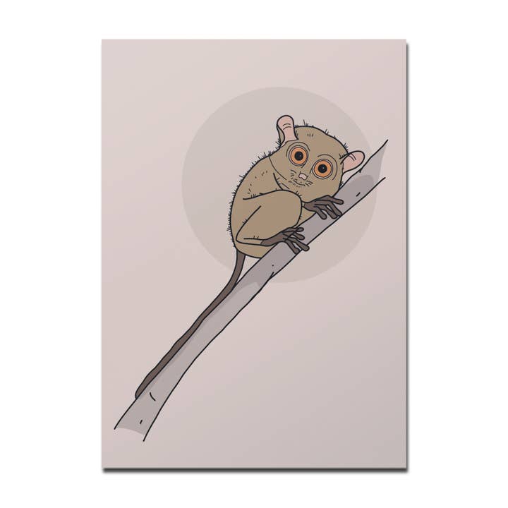 Rotberta - Wholesale Postcard - Koboldmaki postcard