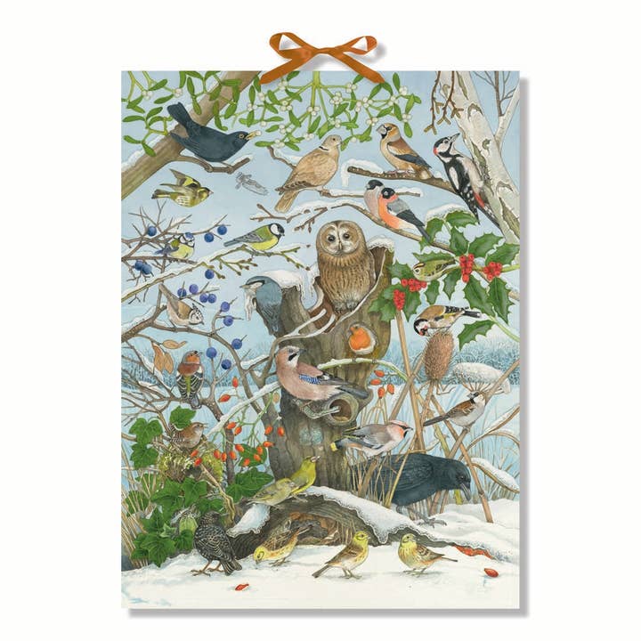 Alison Gardiner Designs - Vente Calendriers de l'avent - Oiseaux en hiver Calendrier de l'Avent musical Birdsong