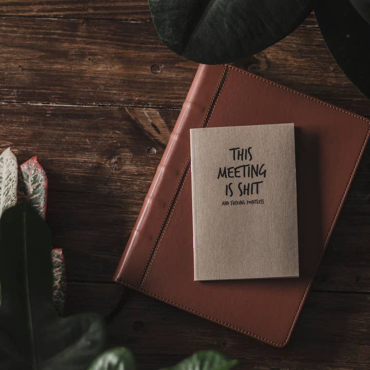 SWEARY A6 NOTEBOOK / This Meeting Is Sh*t for wholesale by F Bomb Designs