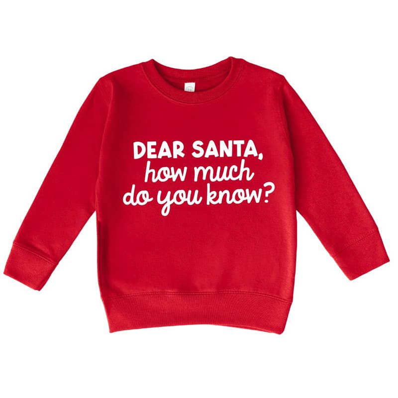 Bump & Beyond Designs - Wholesale Shirt - Kids - Funny Dear Santa Christmas Sweatshirt for Kids3