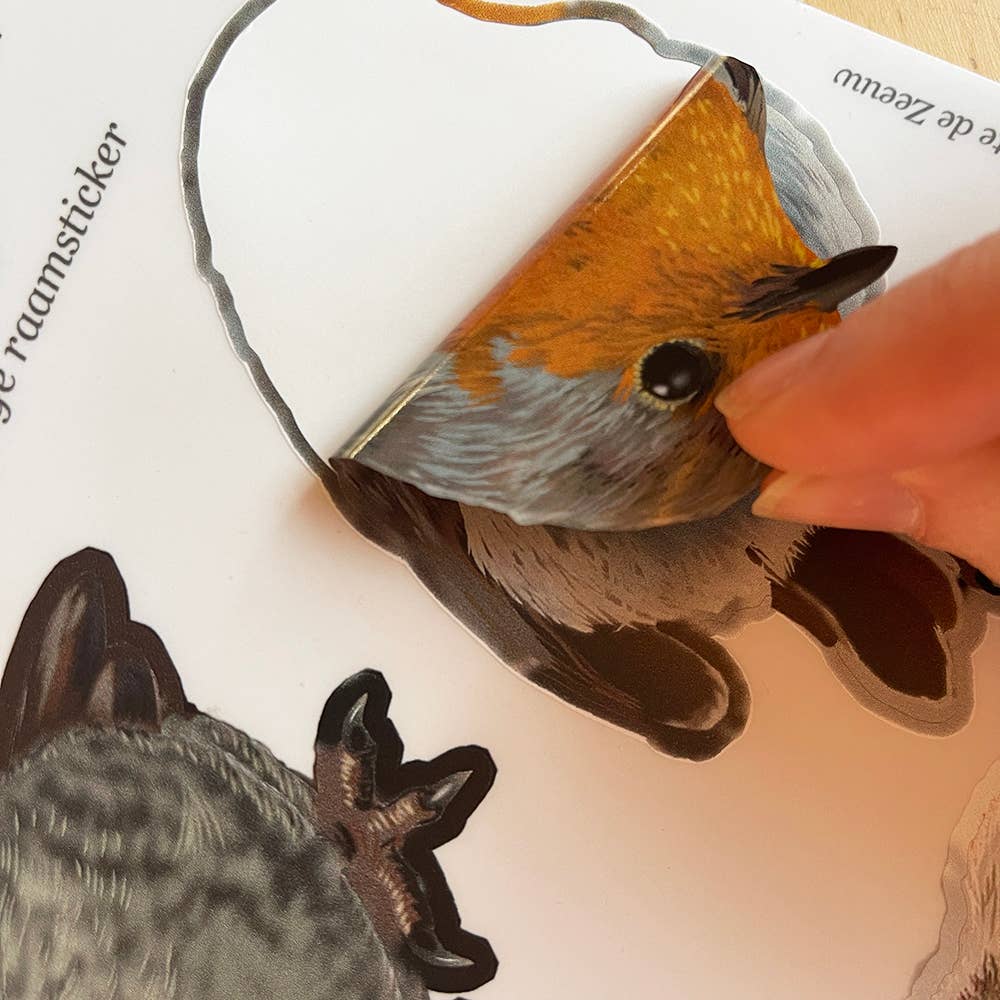 MYRTE - Wholesale Wall Decal/Stickers - Little Birds Mix Double-sided Window Sticker3