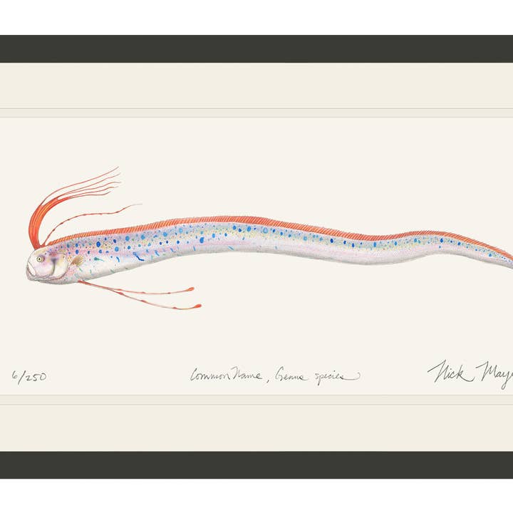 Impression Édition Limitée Poisson-Ruban pour la vente par Nick Mayer Art