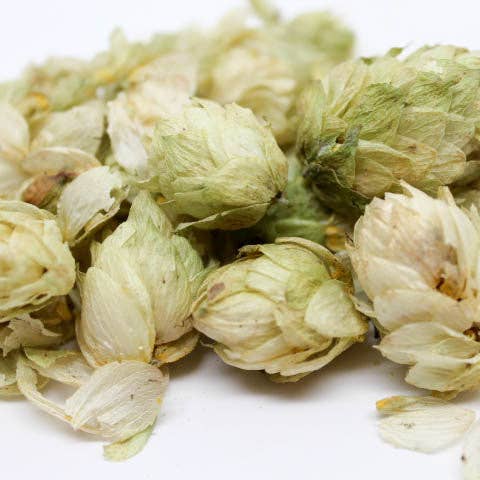 Hops - Bulk Herb for wholesale by Mountain Spirit Herbals LLC.