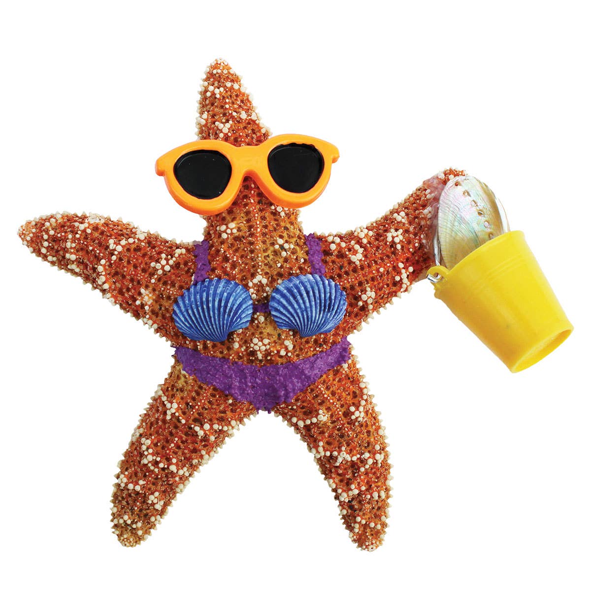 California Seashell Company - Wholesale Magnet - Beach Girl Bucket Sugar Starfish Magnet4