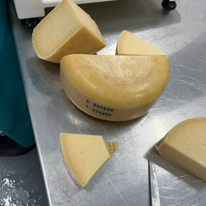 Kasemeister Creamery - Wholesale Cheese - Aged Gouda 7